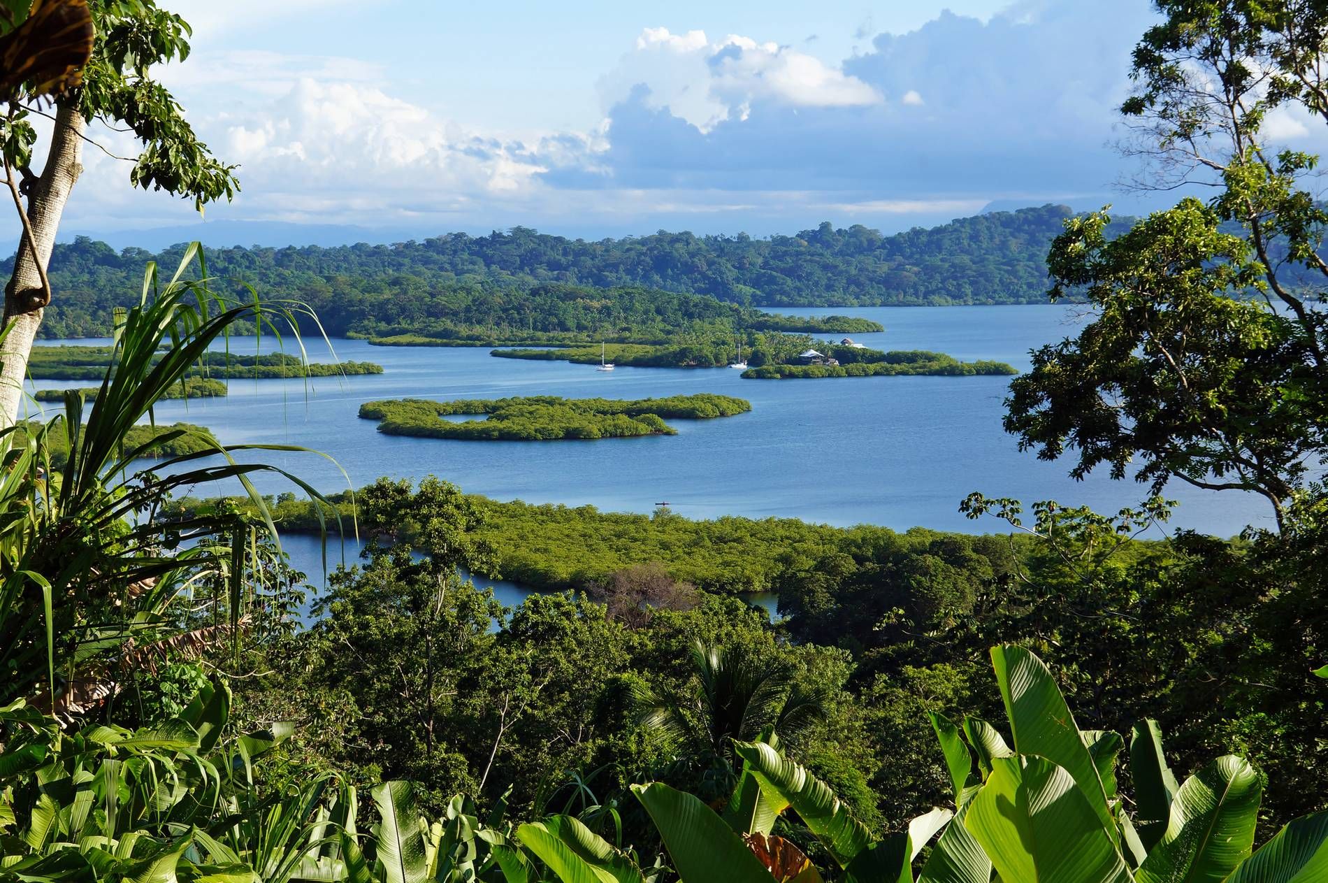Acompanantes Panama